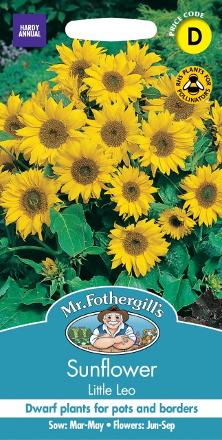 Mr Fothergill's Fothergills Sunflower Little Leo