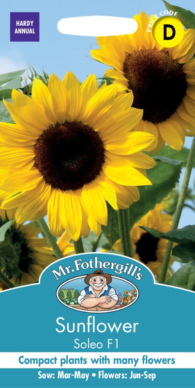 Mr Fothergill's Fothergills Sunflower Solea F1