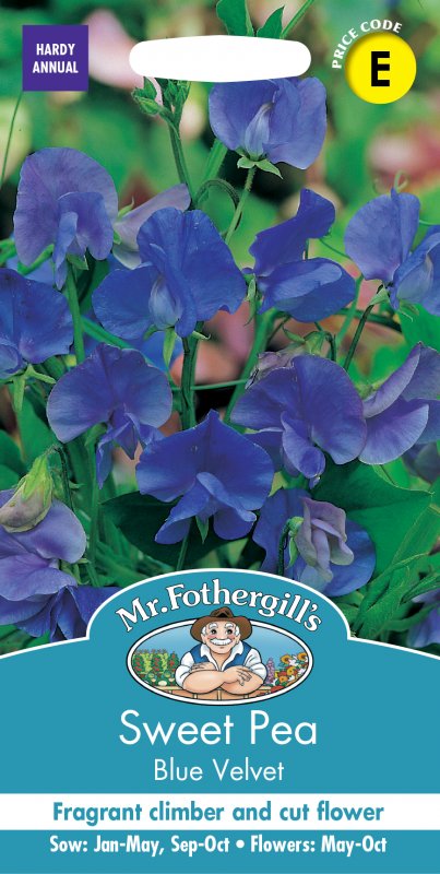 Mr Fothergill's Fothergills Sweet Pea Blue Velvet