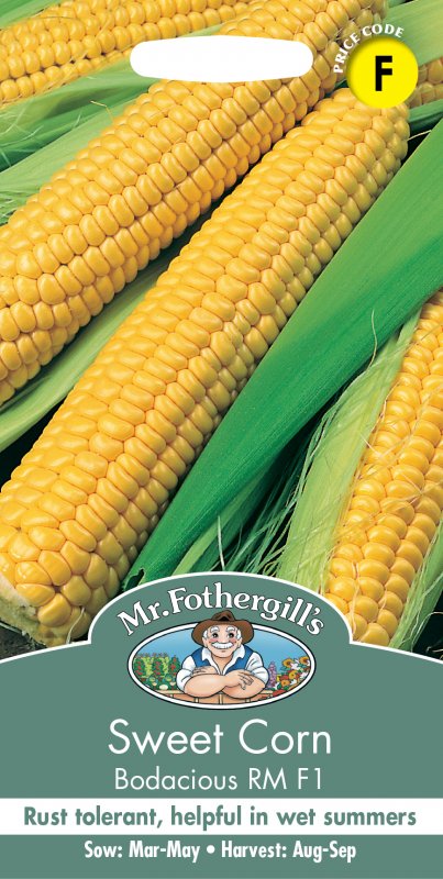 Mr Fothergill's Fothergills Sweet Corn Bodacious Rm F1