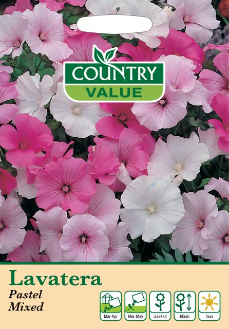 Mr Fothergill's Lavatera Pastel Mix C V Seeds