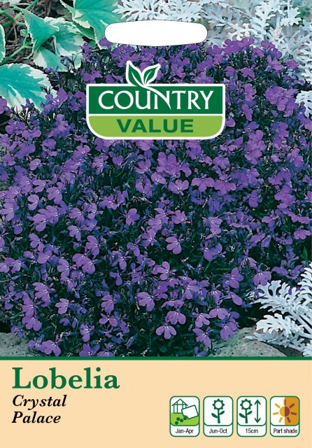 Mr Fothergill's Lobelia Crystal Palace C V Seeds