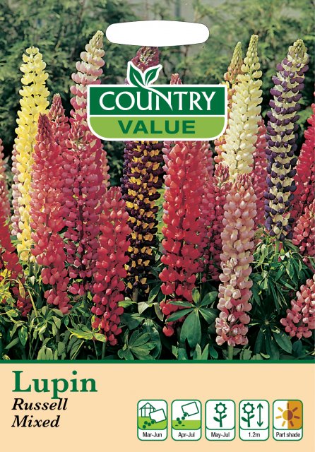 Mr Fothergill's Lupin Russell Mixed C V Seeds