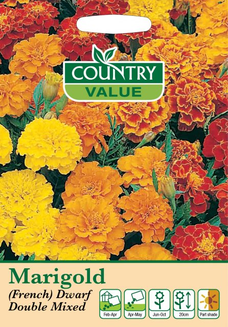 Mr Fothergill's Marigold French D Double Mi C V Seeds