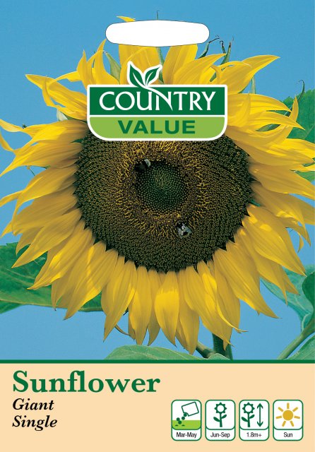 Mr Fothergill's Sunflower Giant Single C V Seeds