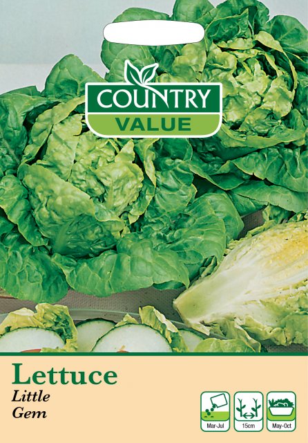 Mr Fothergill's Lettuce Little Gem C V Seeds