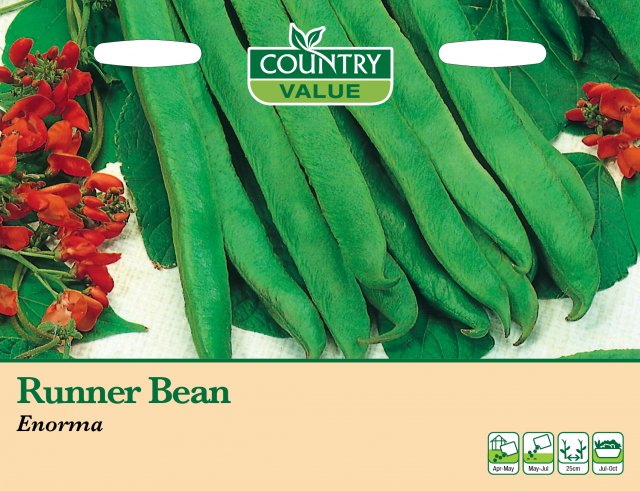 Mr Fothergill's Runner Bean Enorma C V Seeds