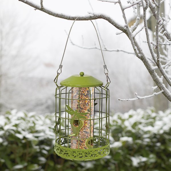 Bird proof clearance cat feeder