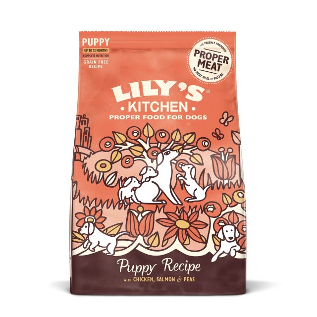 Lily's Kitchen Lily's Kitchen Puppy Chicken & Salmon - 7kg