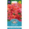 Mr Fothergill's Fothergills Sweet Pea Summer Sizzler