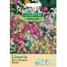 Mr Fothergill's Linaria Fairy Bouquet Mixed C V Seeds