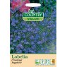 Mr Fothergill's Lobelia Trailing Sapphire C V Seeds