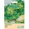 Mr Fothergill's Lettuce Little Gem C V Seeds