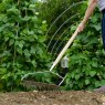 Kent & Stowe Kent & Stowe Stainless Steel Soil Rake