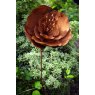 Tom Chambers Plant Stakes Rusty Oriental Poppy