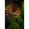 Tom Chambers Tom Chambers Plant Stake Rustic Hydrangea