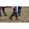 Premier Equine Premier Equine Vinci Waterproof Boot